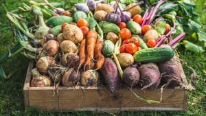 Brian McDermott's Roasted Irish Root Vegetable Recipes