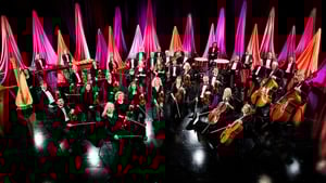 Be a part of the audience at our new Winter Lunchtime Concerts!
