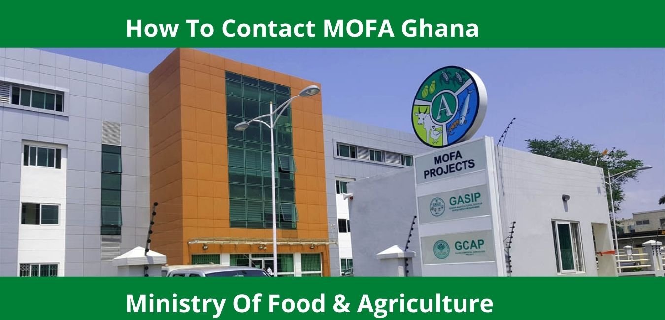 How To Contact MOFA Ghana